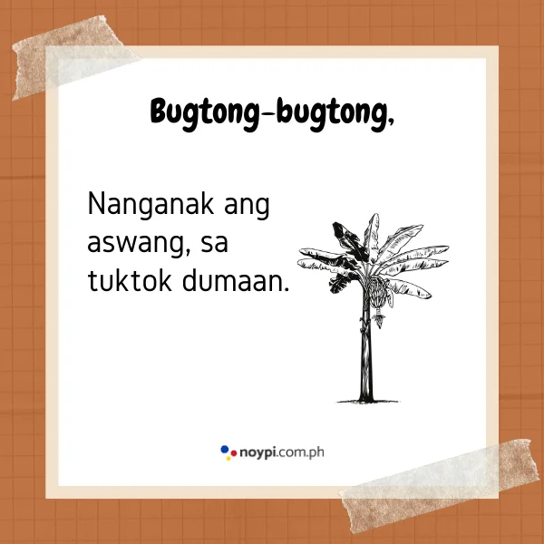 Bugtong-bugtong,
Nanganak ang aswang, sa tuktok nagdaan.