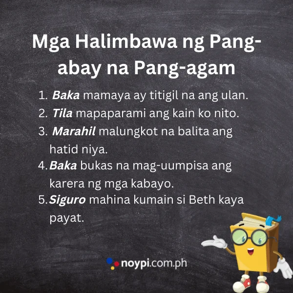 Mga Halimbawa ng Pang-abay na Pang-agam